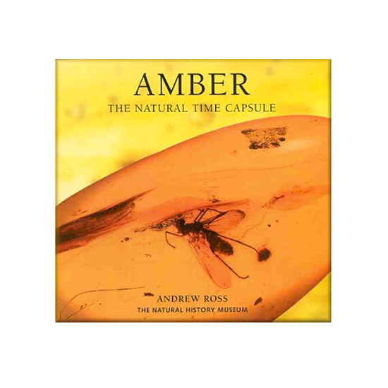 Afbeelding van Amber, The Nature Time Capsule