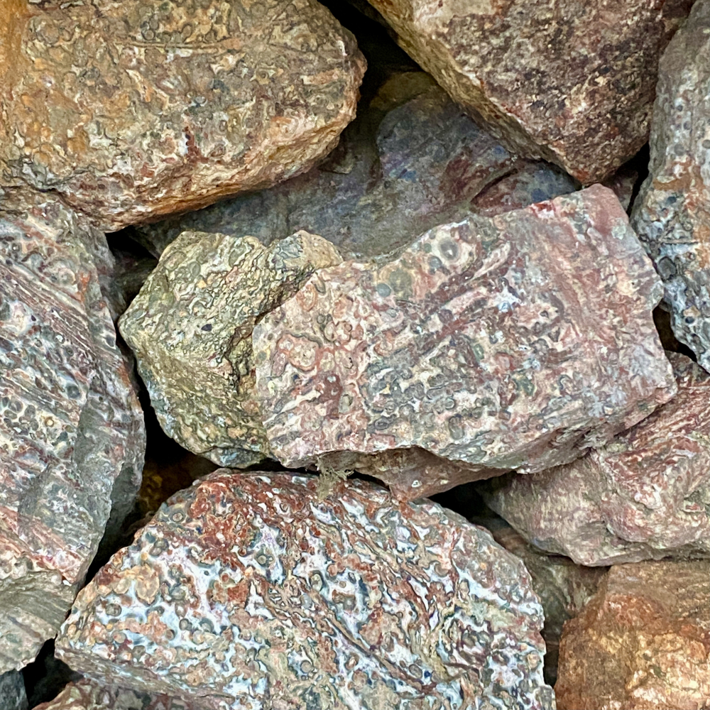 Luipaard Jaspis, Mexico