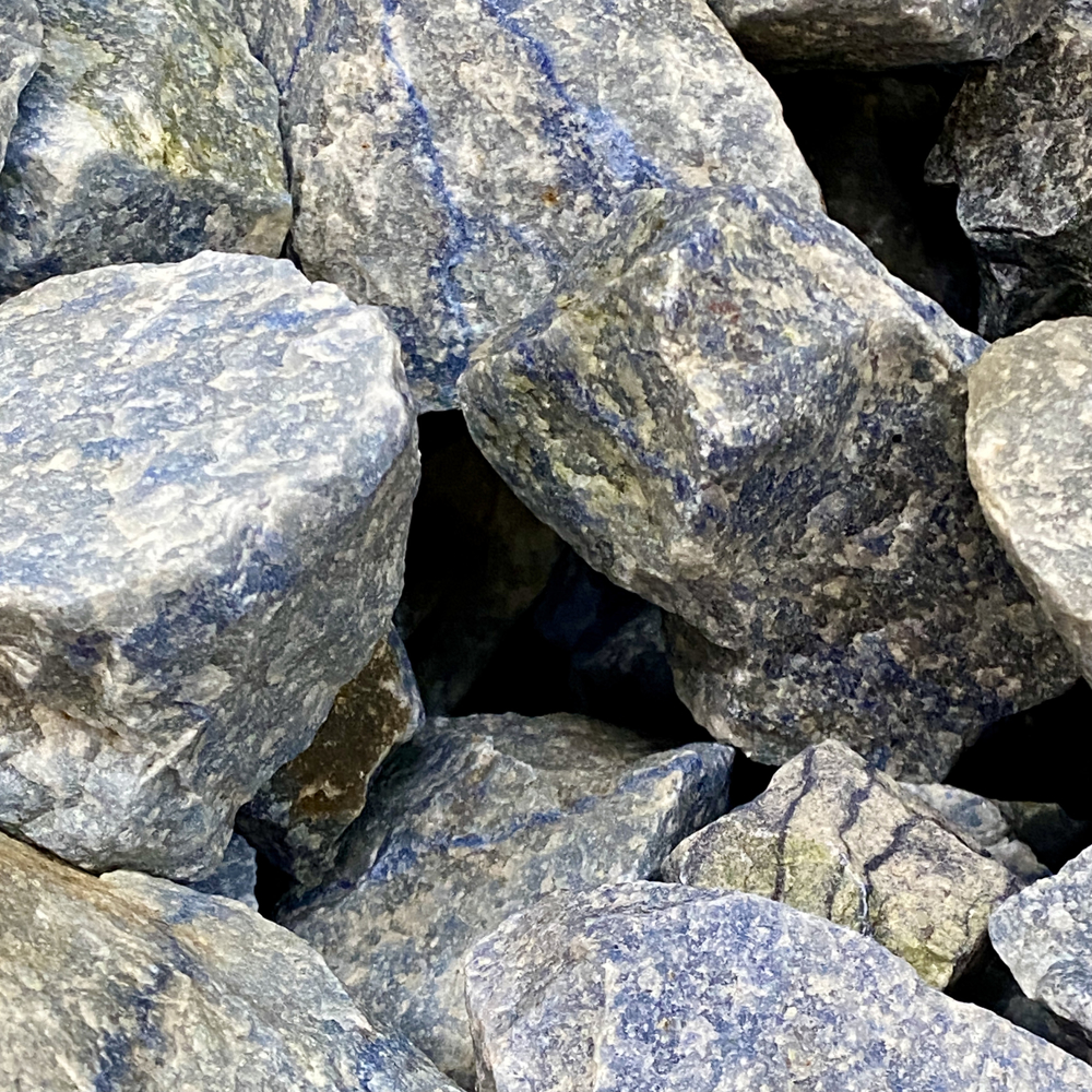 Blauwkwarts (Dumortierriet aders), Noord Brazilië