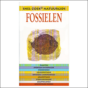 Afbeelding voor categorie Fossielen