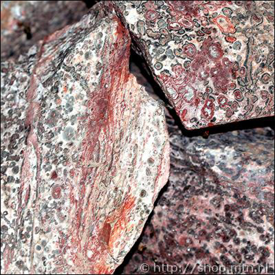 Afbeelding van Leopard-skin Jasper; Rhyoliet met luipaardvel structuur