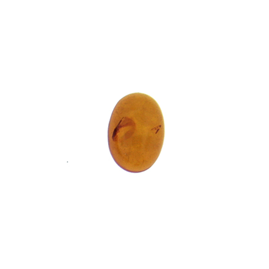 Afbeelding van Barnsteen cabochon 10x14mm per stuk