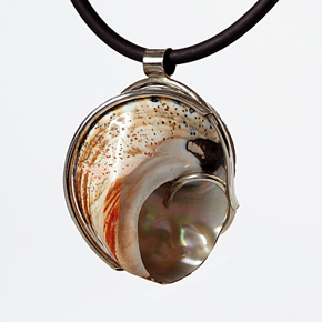 Afbeelding voor categorie Zee- en Schelpcollectie