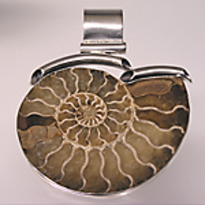 Afbeelding voor categorie Fossiel, Meteoriet en Tektiet