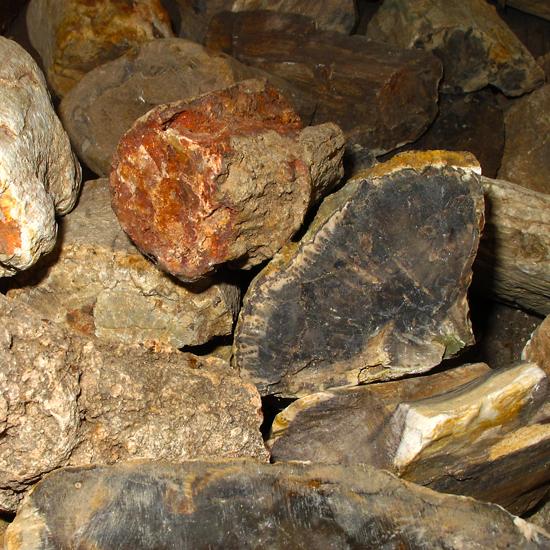 Afbeelding van Versteend Hout Madagascar 350 gram