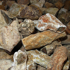 Afbeelding van Versteend Hout Madagascar 350 gram